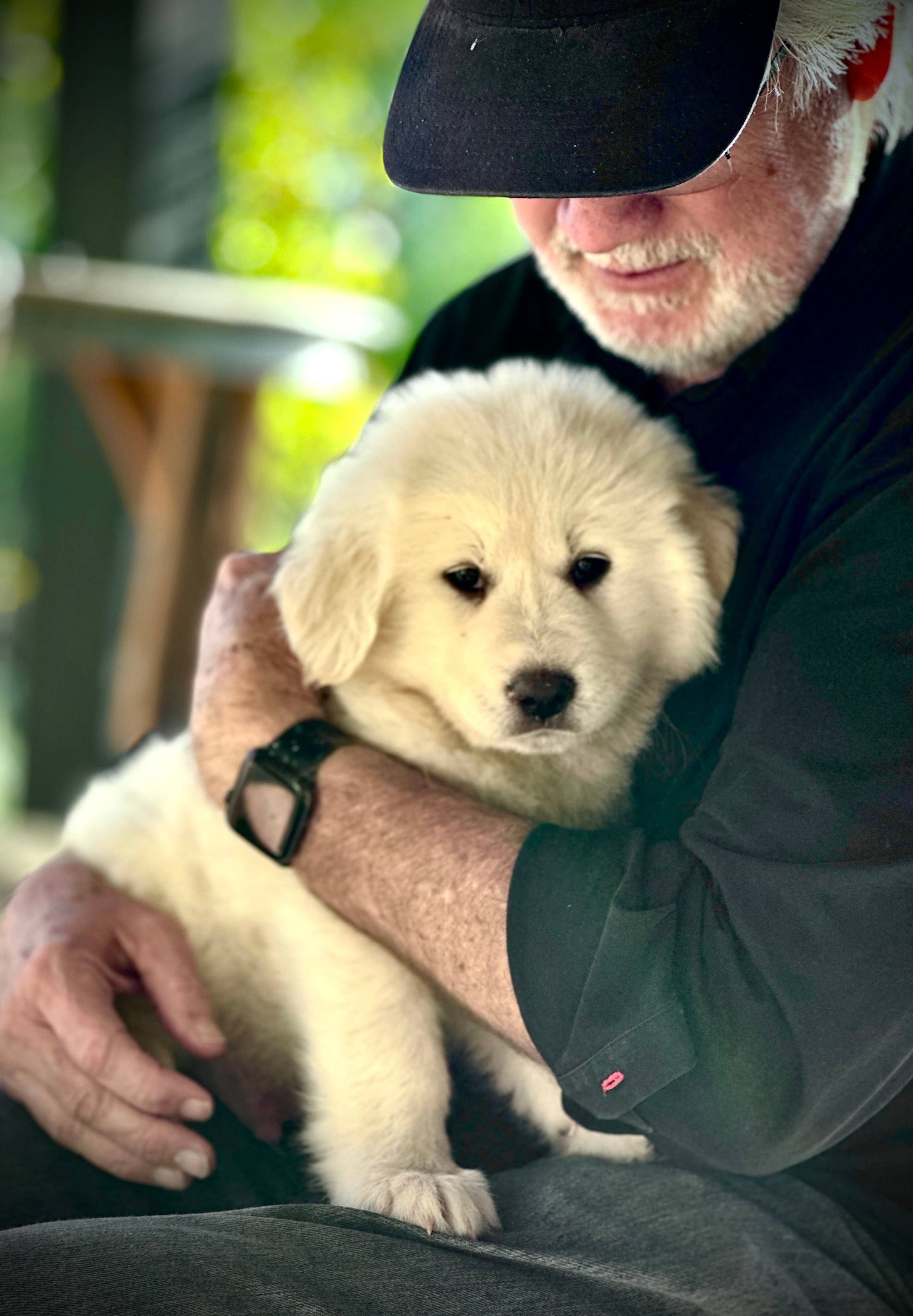 Lavender Dog Shampoo