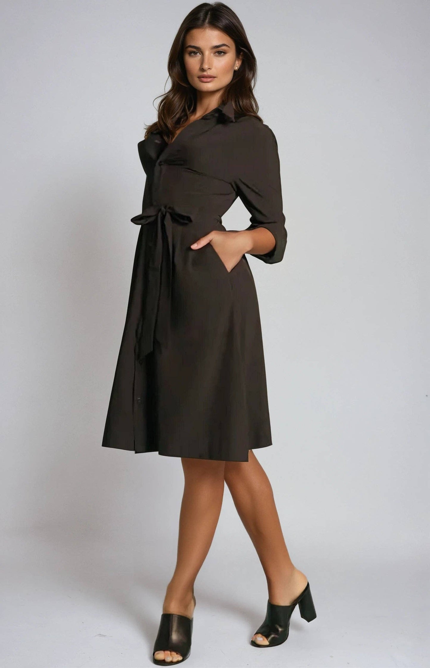 Kathleen Shirt Dress