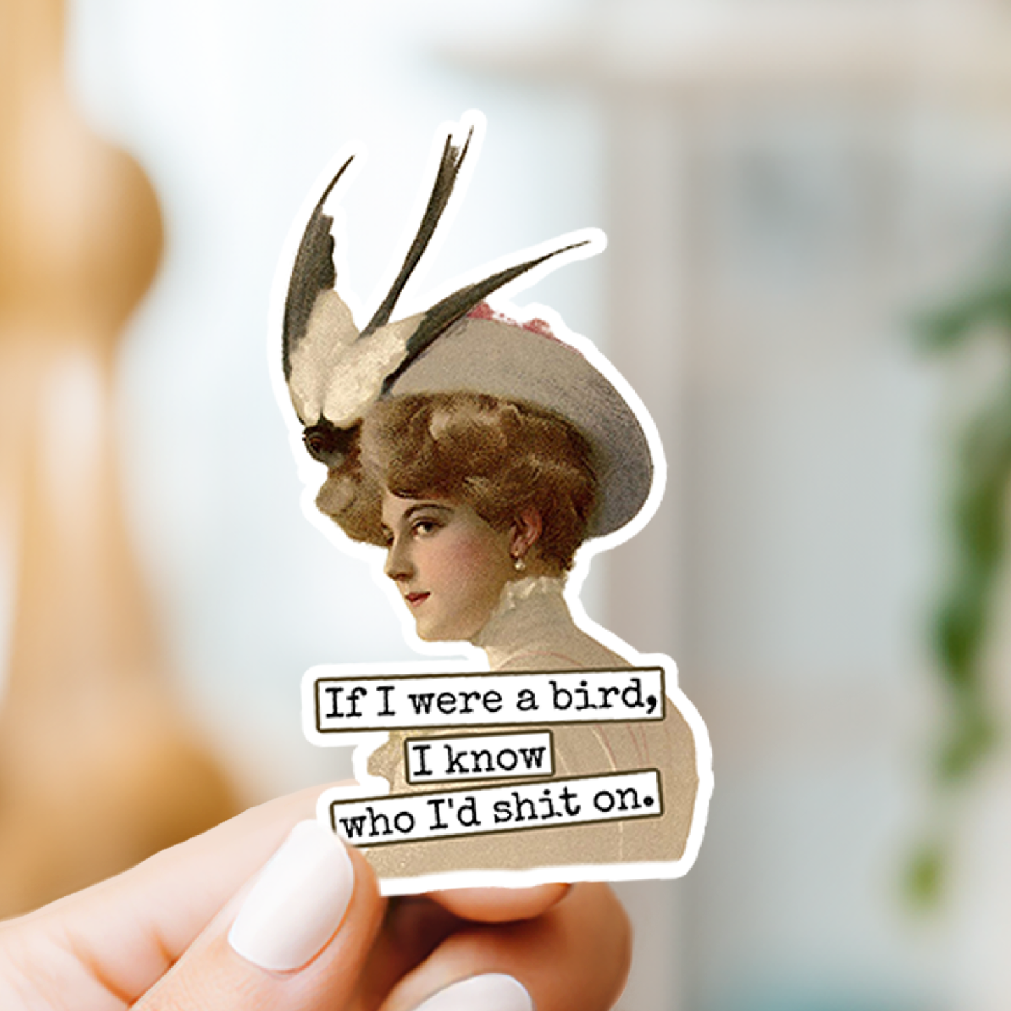 Funny STICKER. If I Were A Bird I Know Who I'd Shit On.