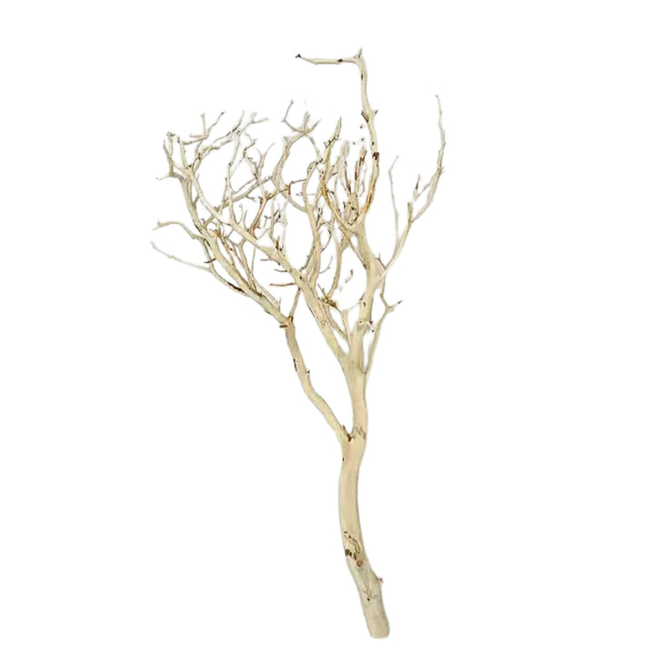 Manzanita Sandblasted Branches